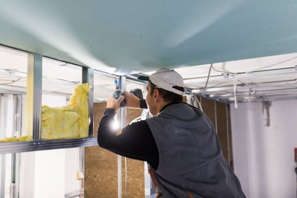 Best Insulation Replacement Services  in Cedar Ridge, CA